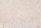 Anti-HMGB1 Antibody Picoband™ (monoclonal, 5H3)